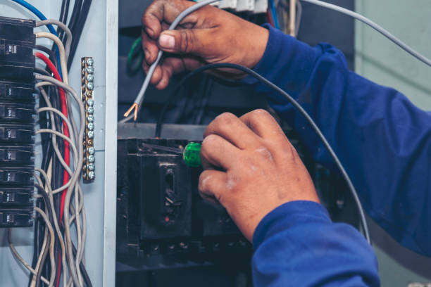 Best Electrical System Inspection  in Mapleton, MN