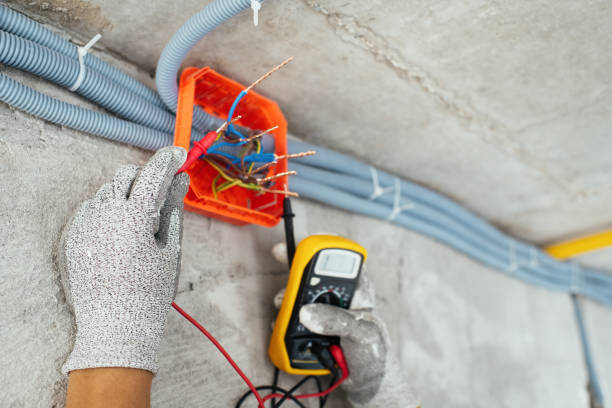 Best Electrical System Inspection  in Mapleton, MN